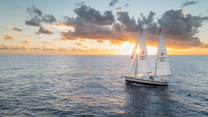 Das Grain de Sail Segelschiff auf dem Weg über den Atlantik