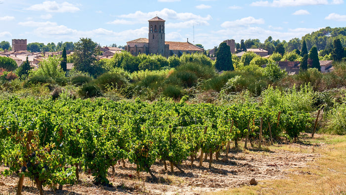 Terres de Grès: Ein Rosé vom Sandstein des Minervois