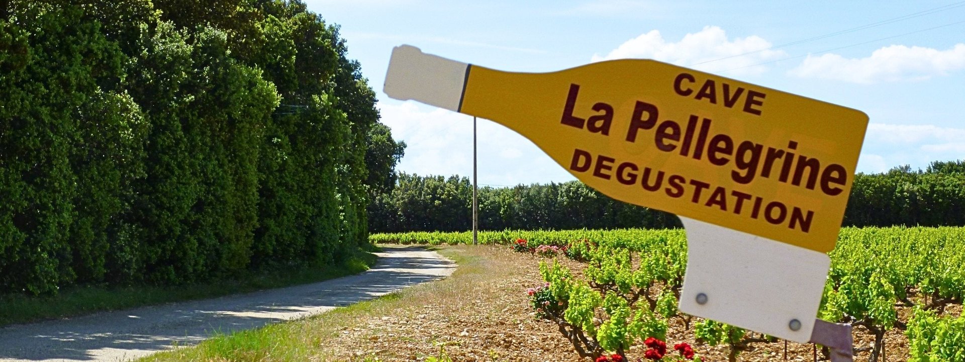 Domaine La Pellegrine, Vindumi Winzerportrait
