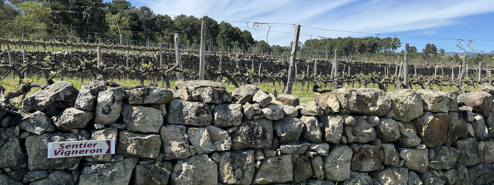 Cave de Lablachère, Weinberg mit Trockenmauern, Ardèche
