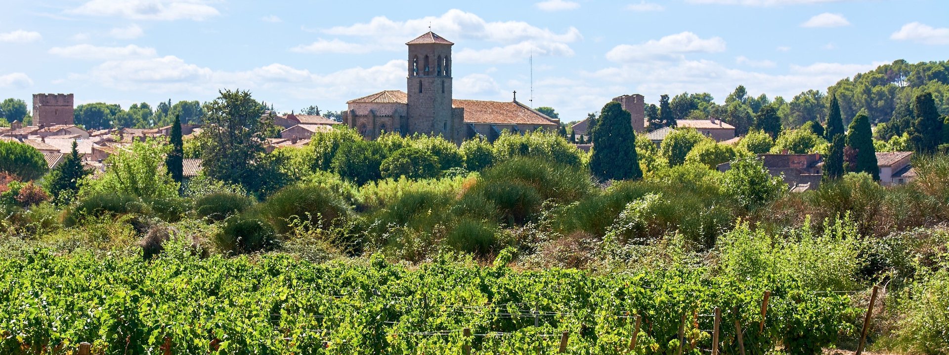 Domaine Sibille, Vindumi Winzerportrait