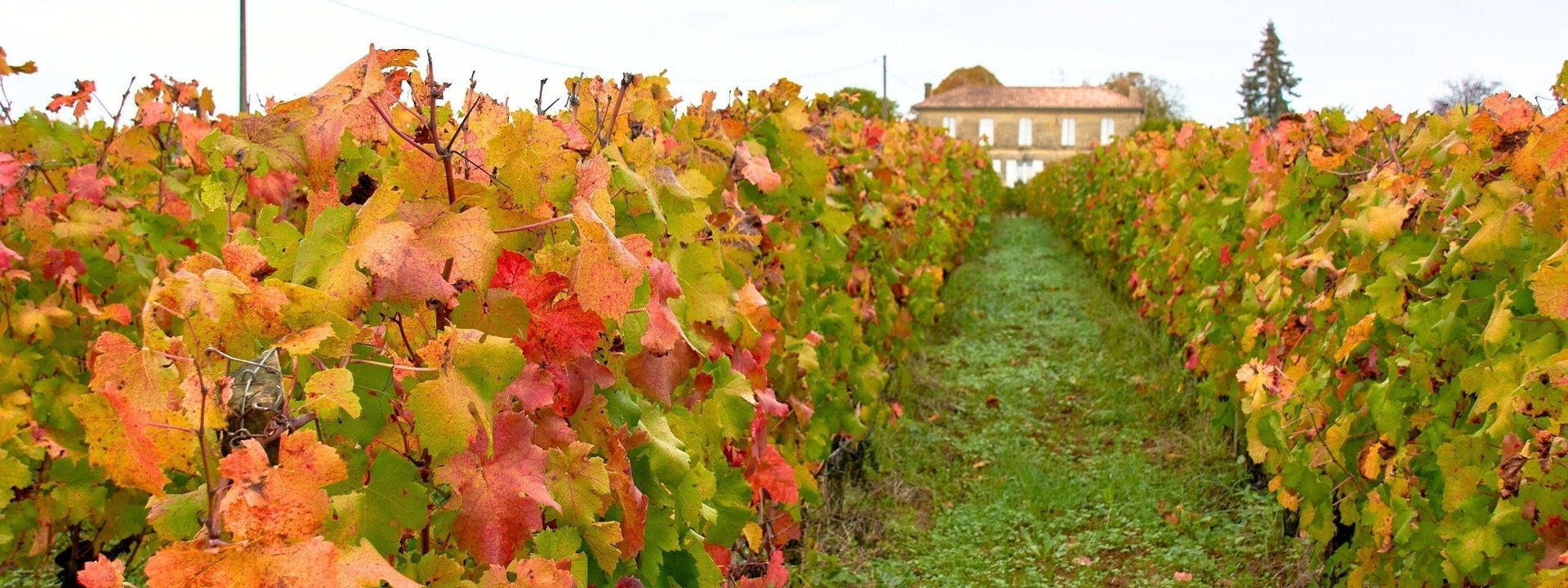 Château Clarisse, Vindumi Winzerportrait