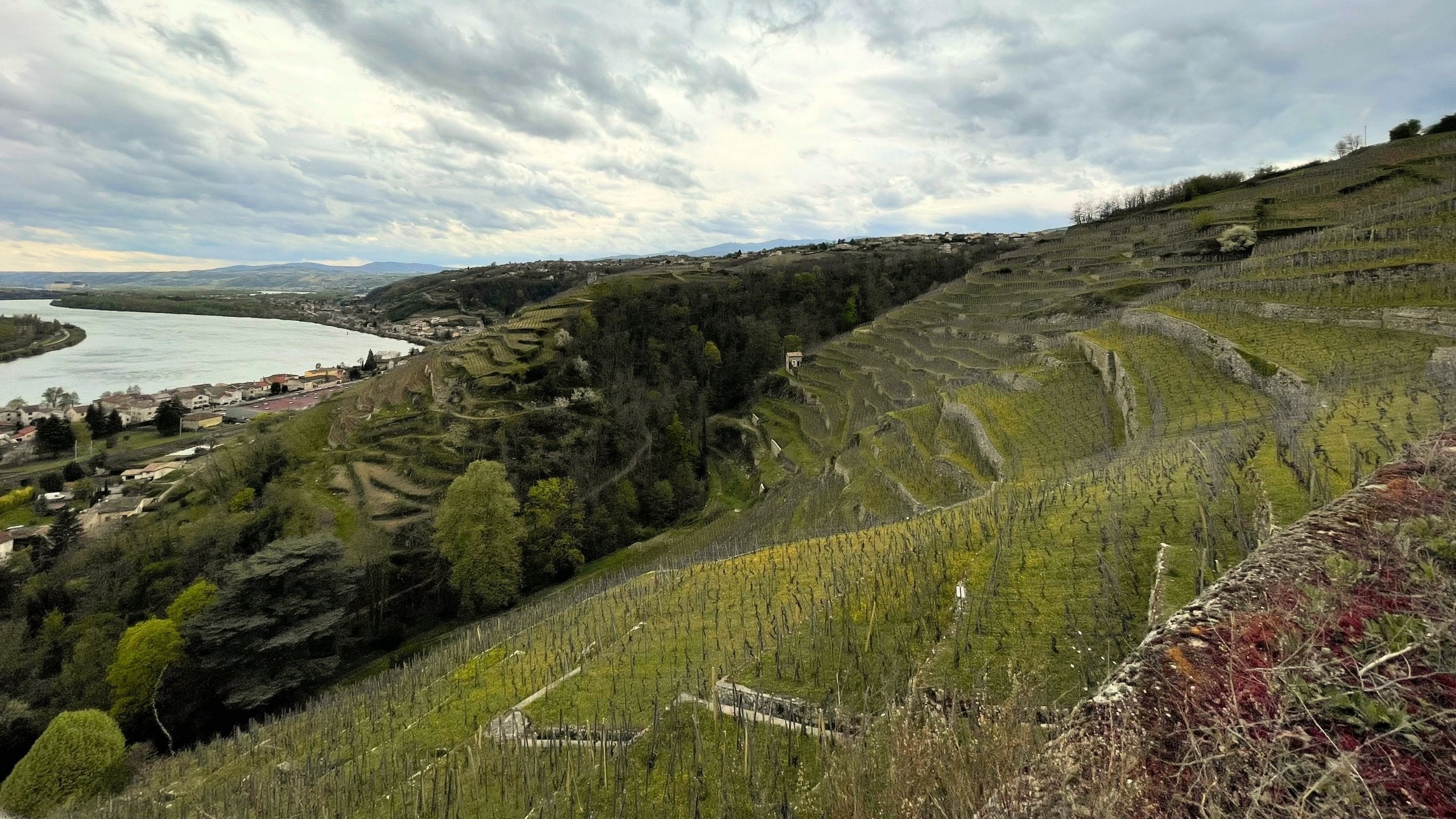 Sylvain Badel, Winzer an der nördlichen Rhône