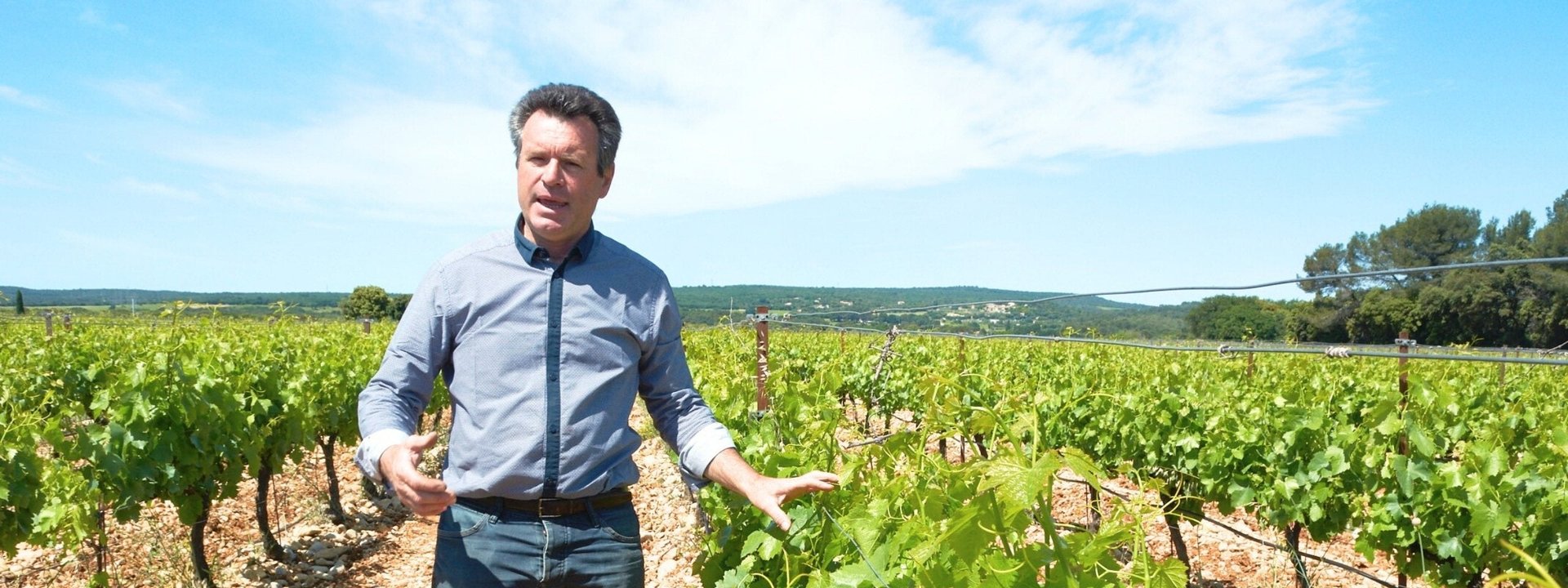 Domaine Philippe Plantevin, Vindumi Winzerportrait