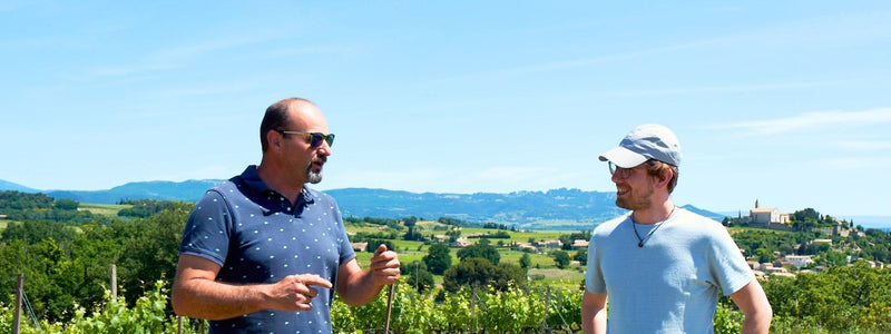 Domaine Boisson, Weingut