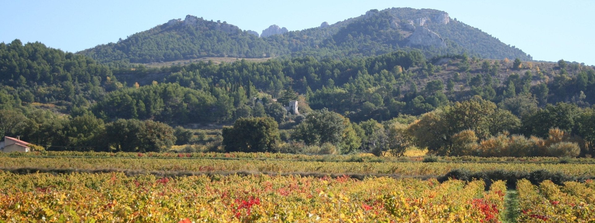 Mas de Restanques, Vindumi Winzerportrait