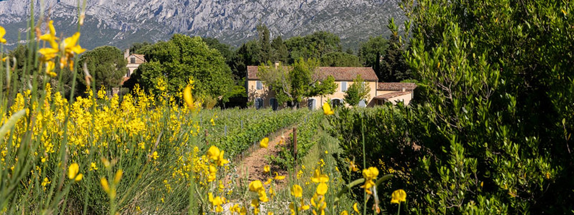 Domaine Le Loup Bleu, Vindumi Winzerportrait