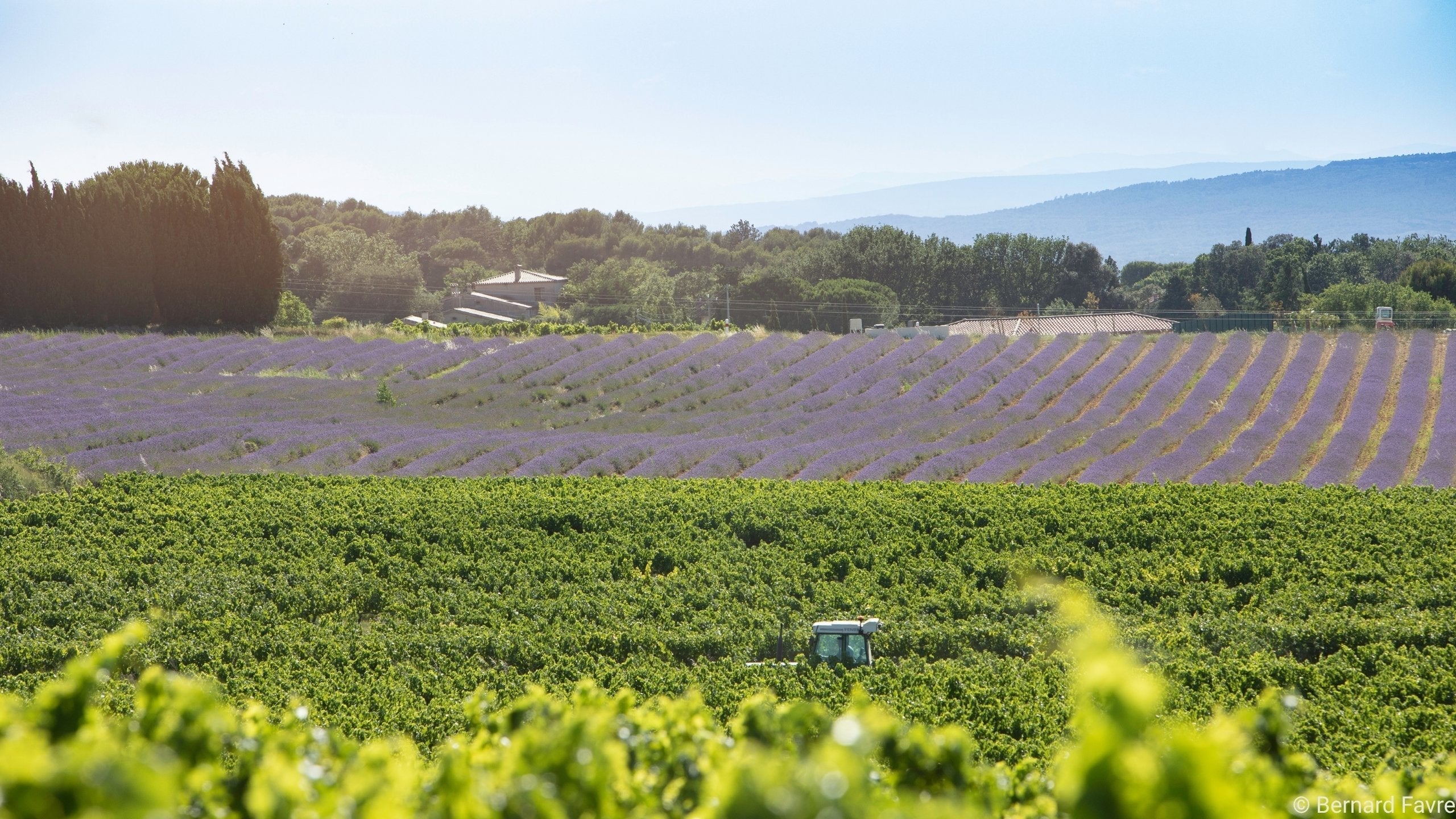 Valréas, Côtes du Rhône Villages, Südliches Rhônetal