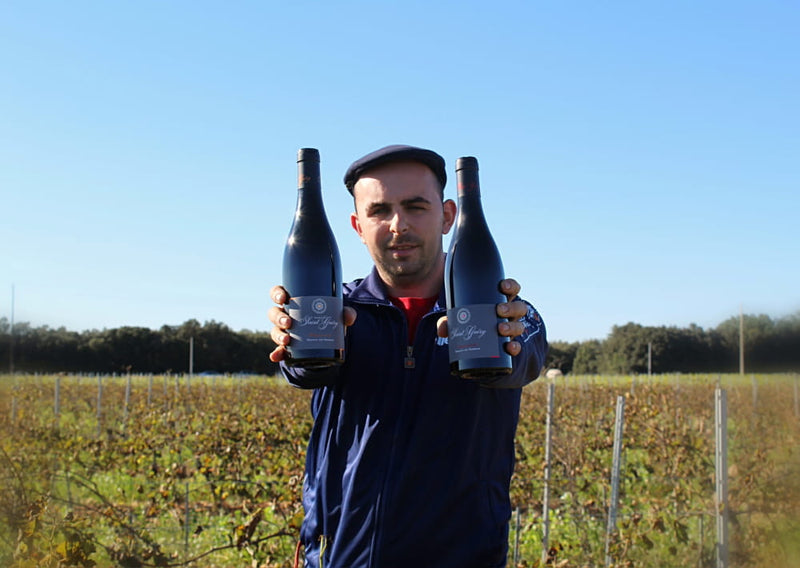 Domaine Saint Guéry