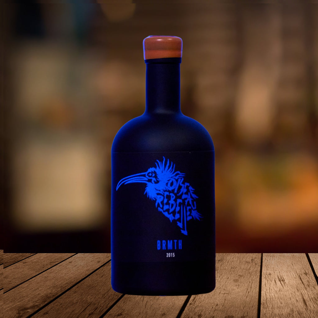 BRMTH-oiseau-rebelle-scene