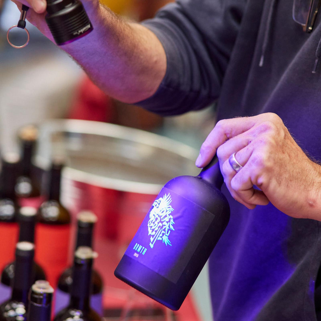 BRMTH-oiseau-rebelle-scene2