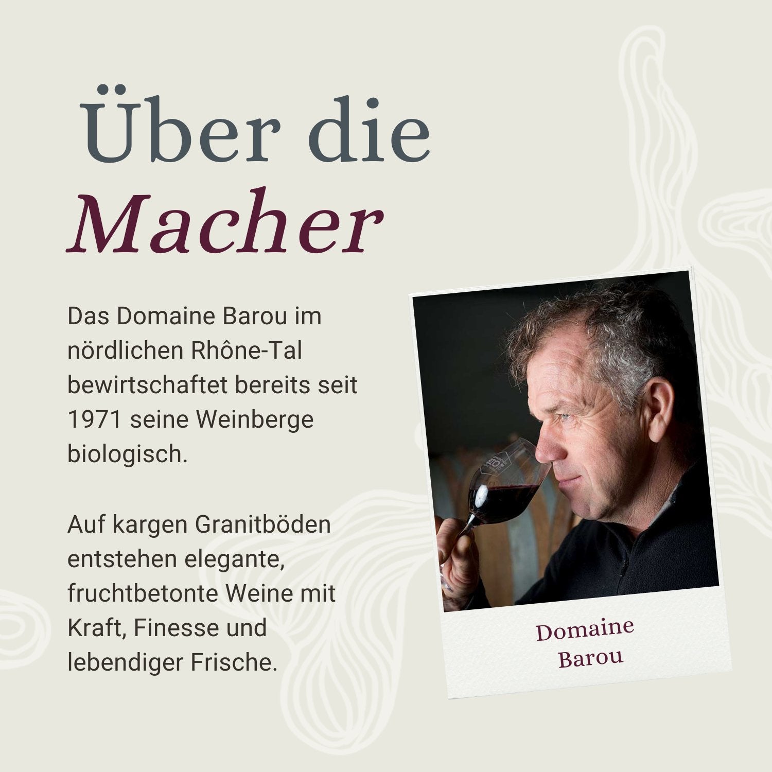 Terra Nostra - Saint-Joseph Rouge 2021 - Bio