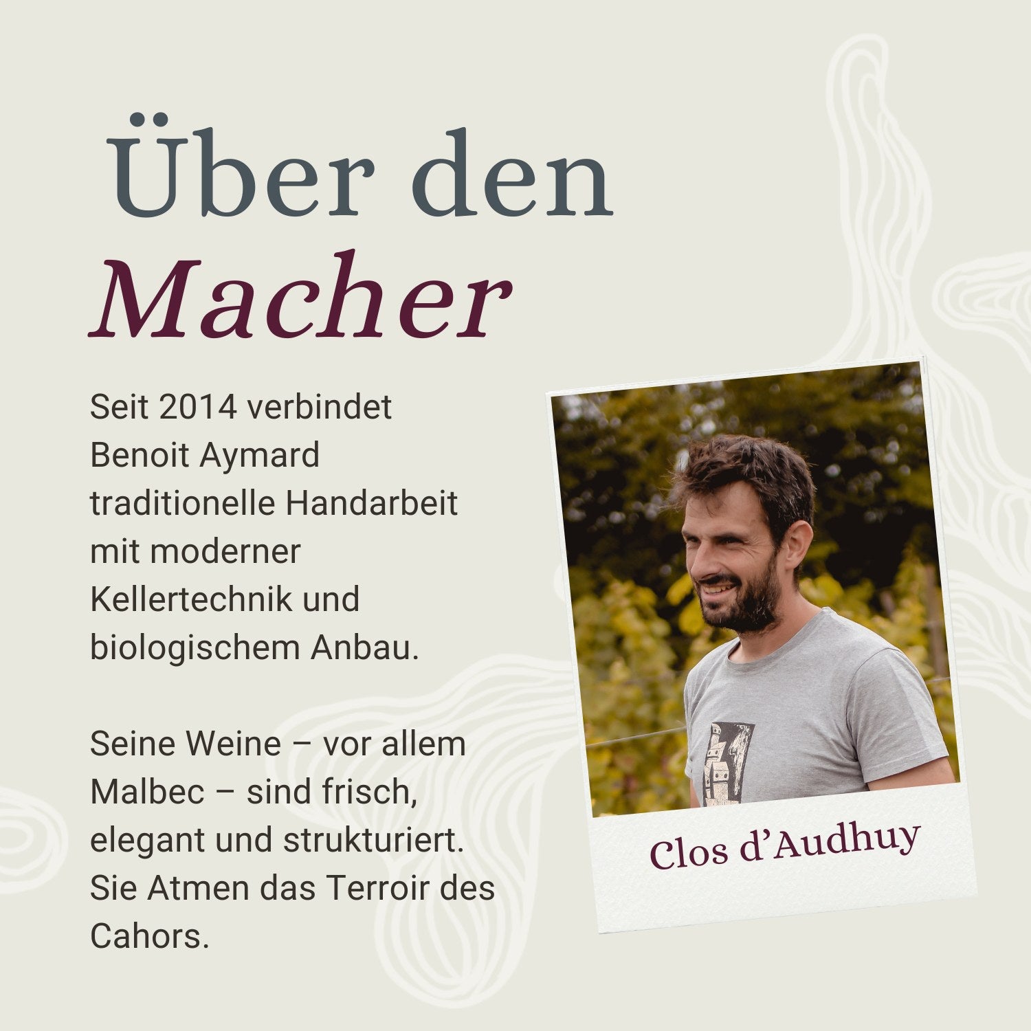 Clos d'Audhuy, Weingut in Cahors, Südwesten