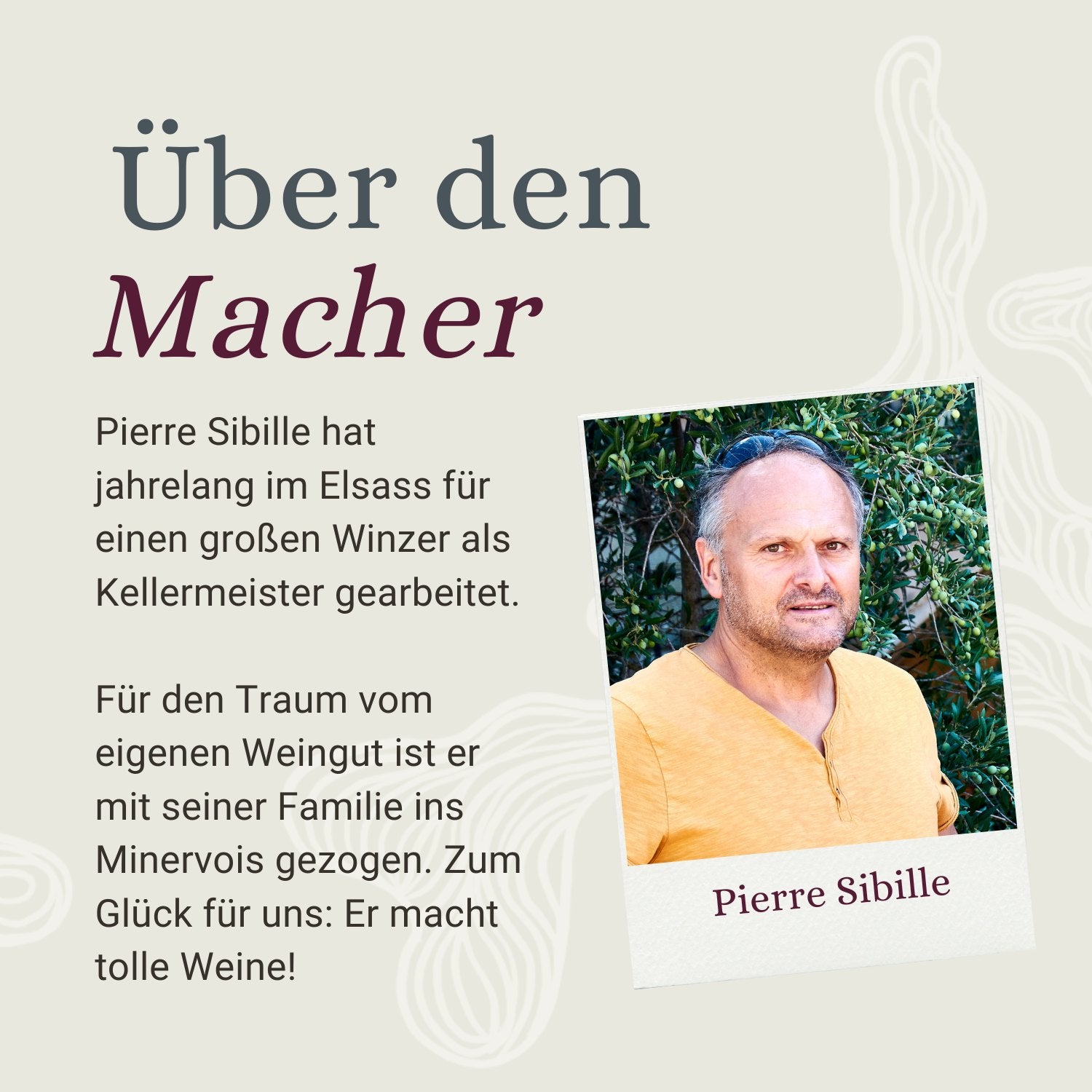 Les P'tites Terrasses - Weißwein Pays d'Oc 2022 - Bio