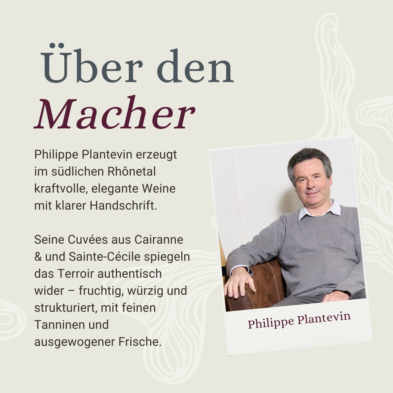Domaine Philippe Plantevin, Winzer in Cairanne, Südliches Rhônetal