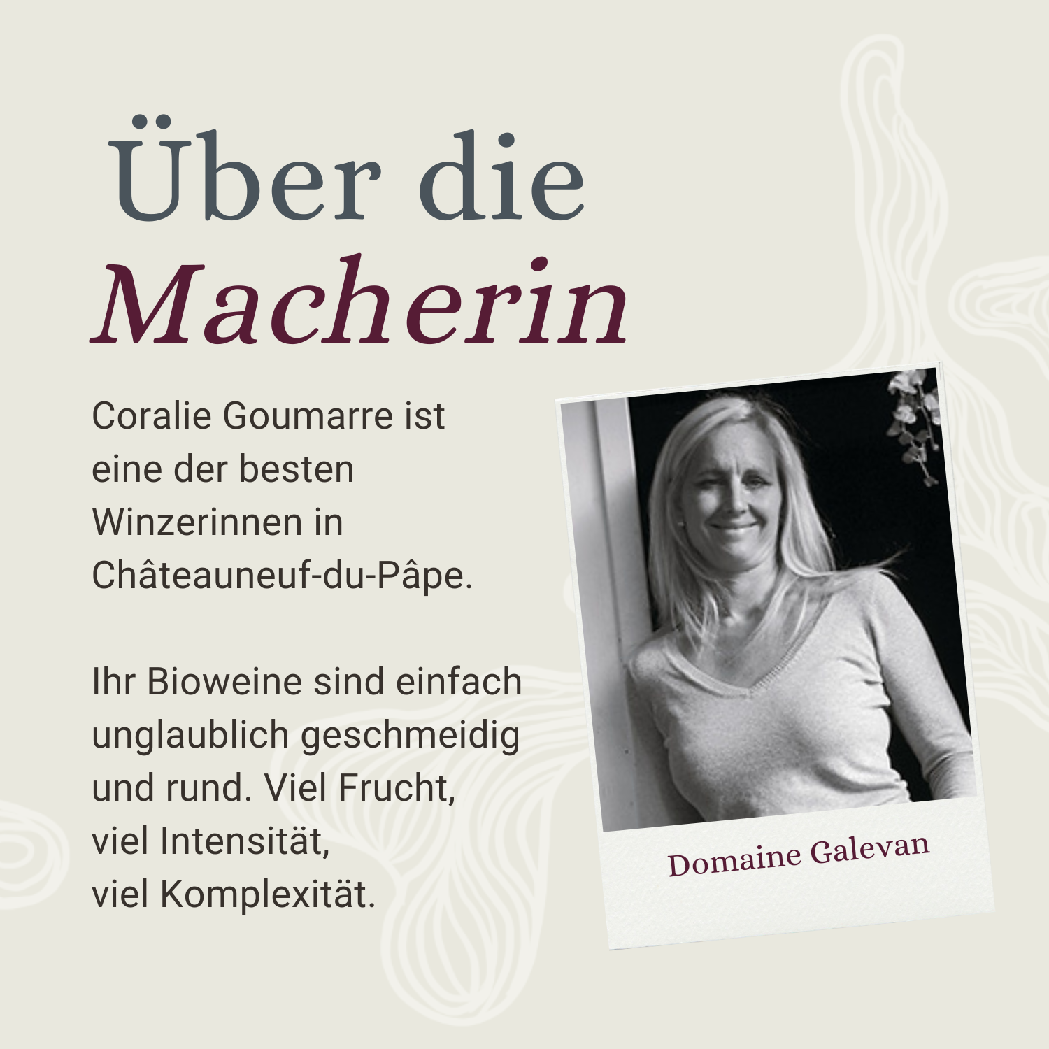 Saint Georges - Châteauneuf-du-Pape Rouge 2017 - Bio