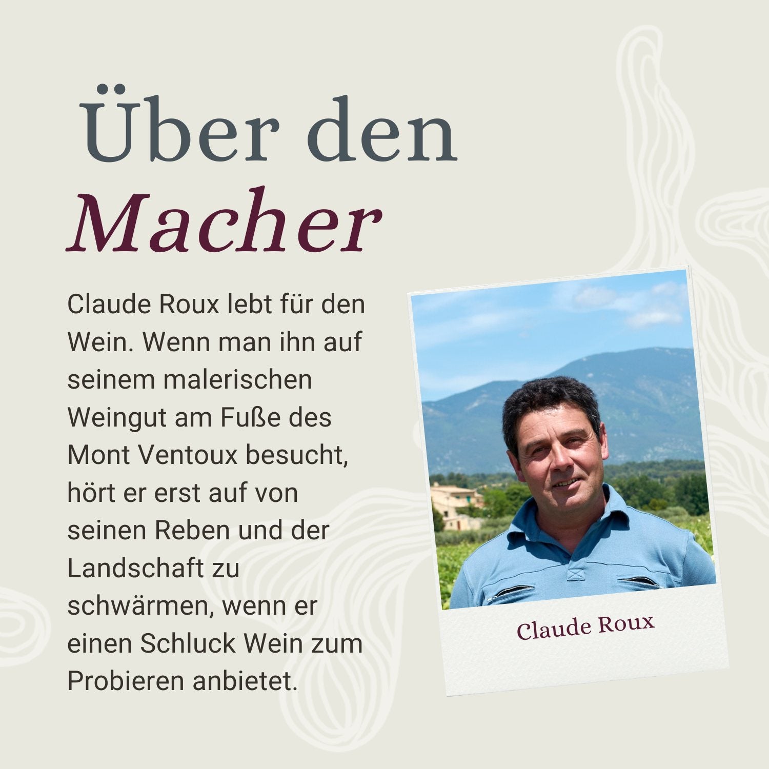 Merlot - Vaucluse Rouge 2020