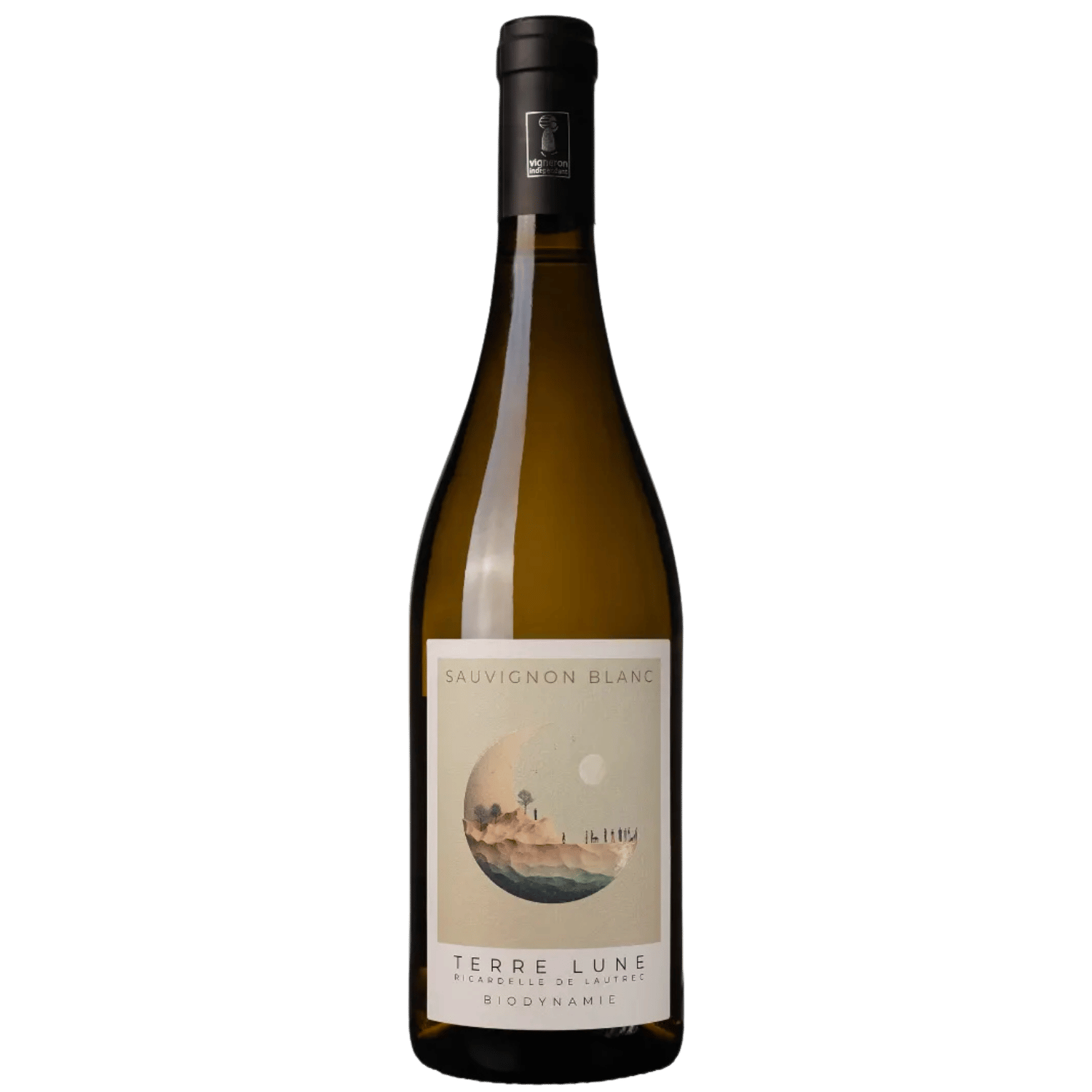 Sauvignon Blanc 2024, Terre Lune, Flasche
