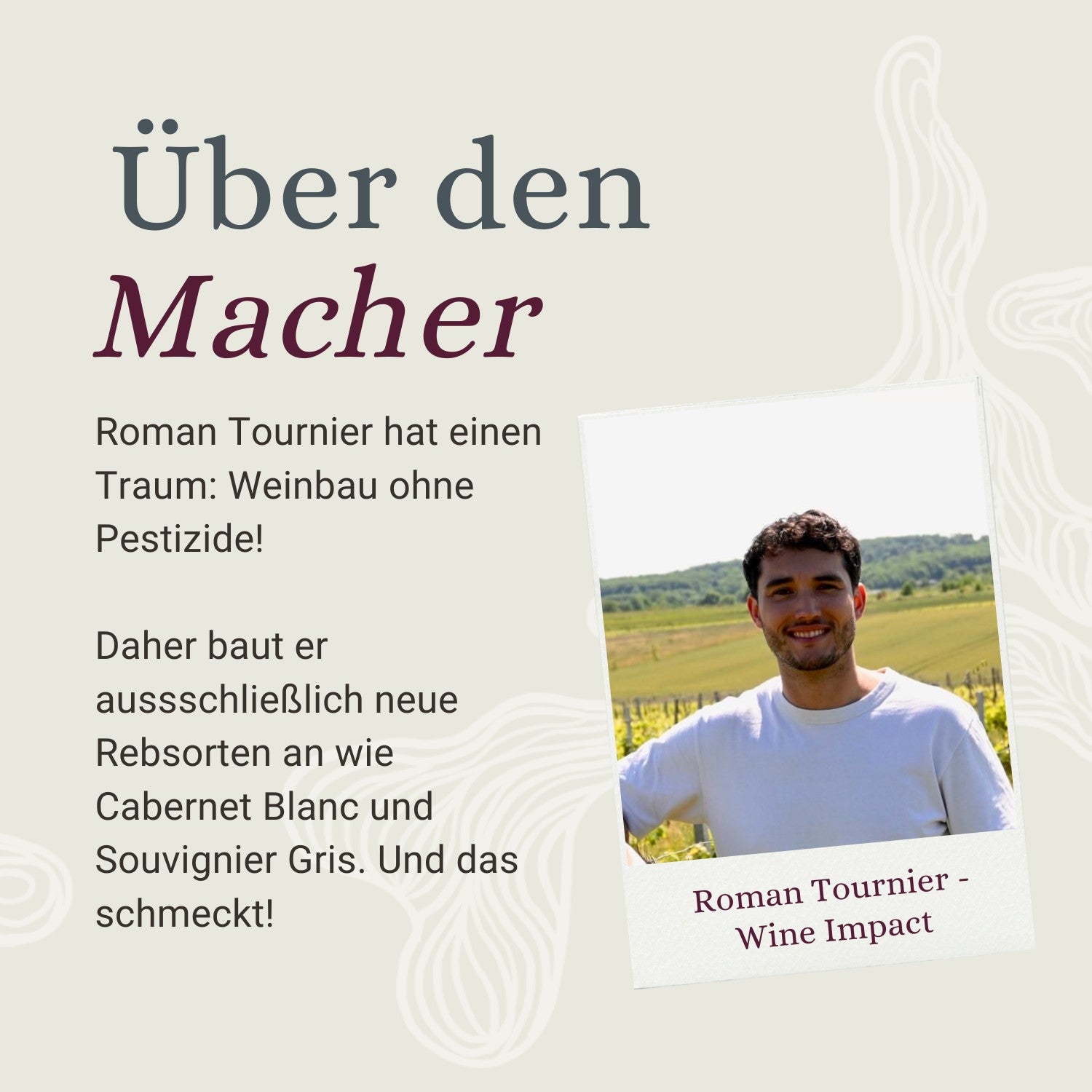 Wine Impact