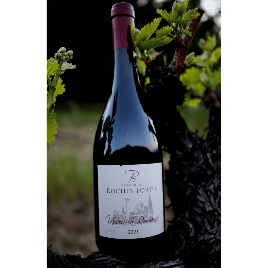 ad-astra-vaison-la-romaine-roches-fortes-scene