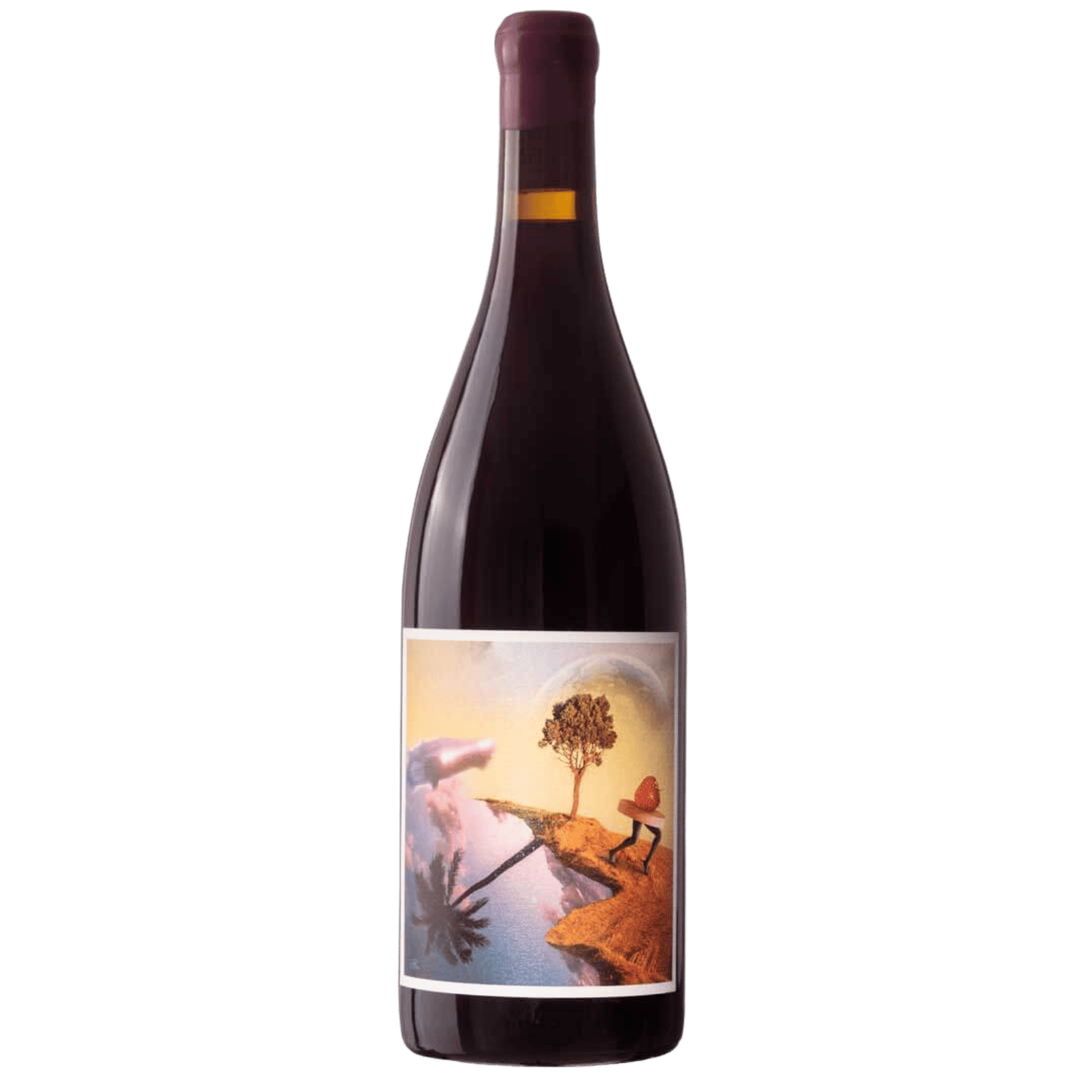 Back to the Serine, Cévennes Rouge 2024, Flasche