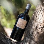 Bandol Rouge 2022, Croix d'Allons, serviert, Szene