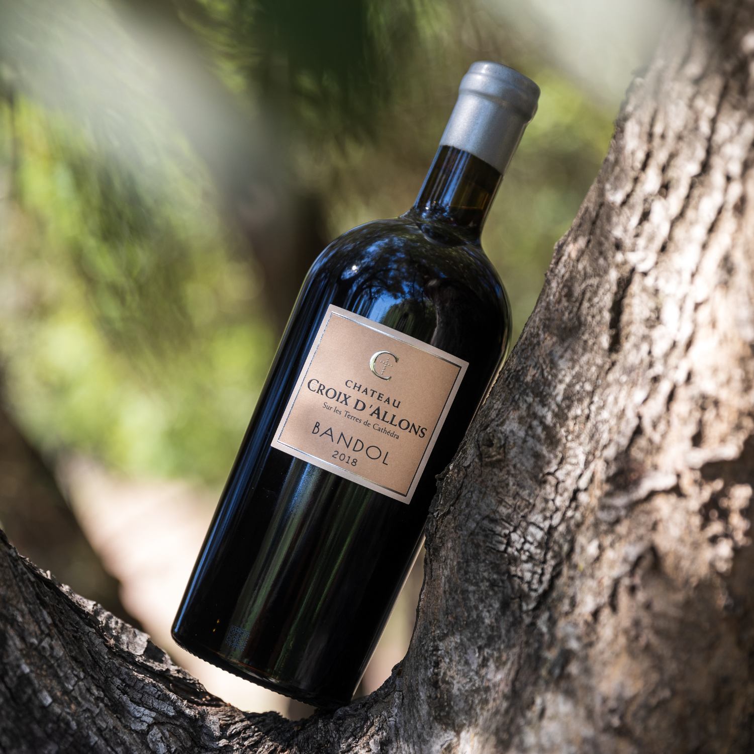 Bandol Rouge 2022, Croix d'Allons, serviert, Szene