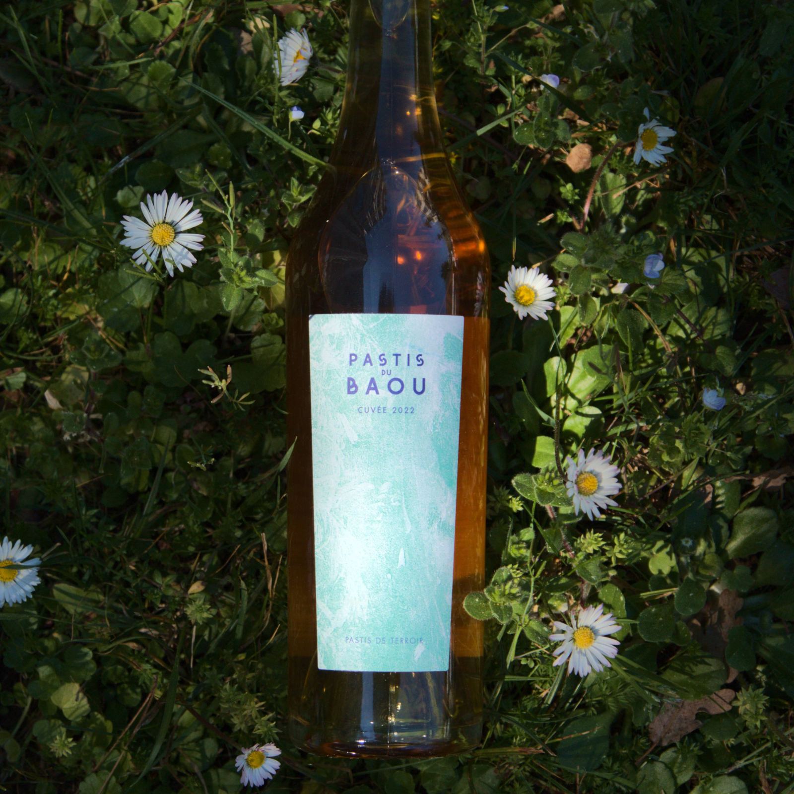 Pastis du Baou (43°), serviert, Szene