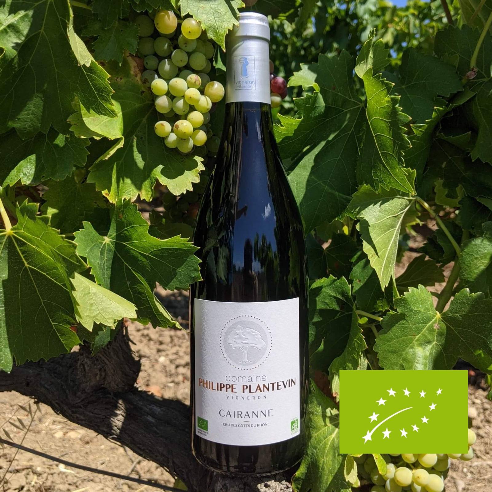 Cairanne Rouge 2020, serviert, Szene