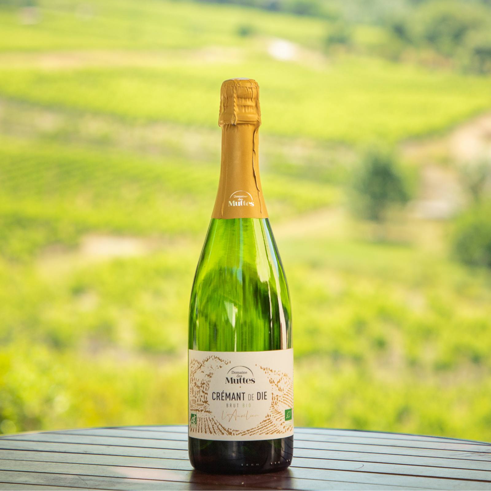 L'Aurélien, Crémant de Die, serviert, Szene