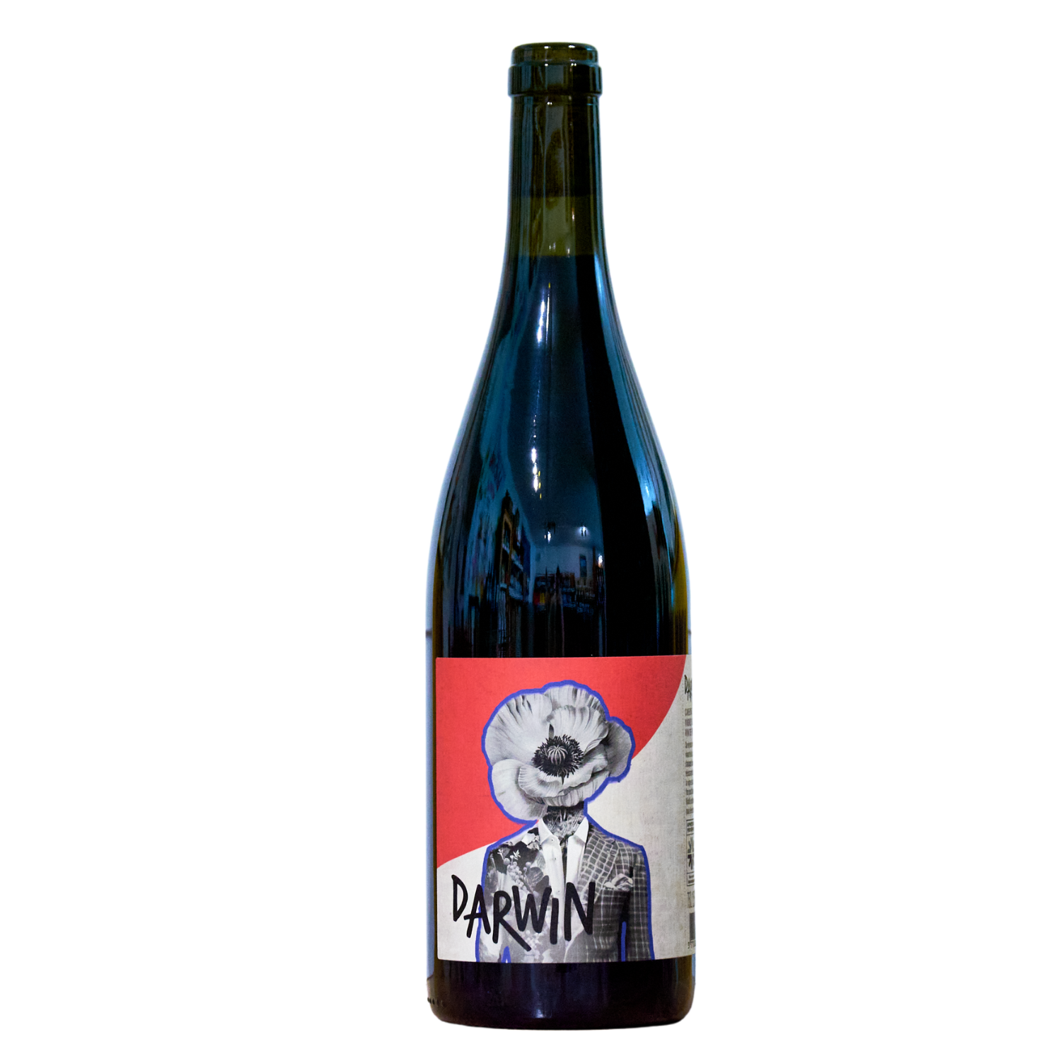 Darwin Cabernet Jura, 2021 Bio, Flasche