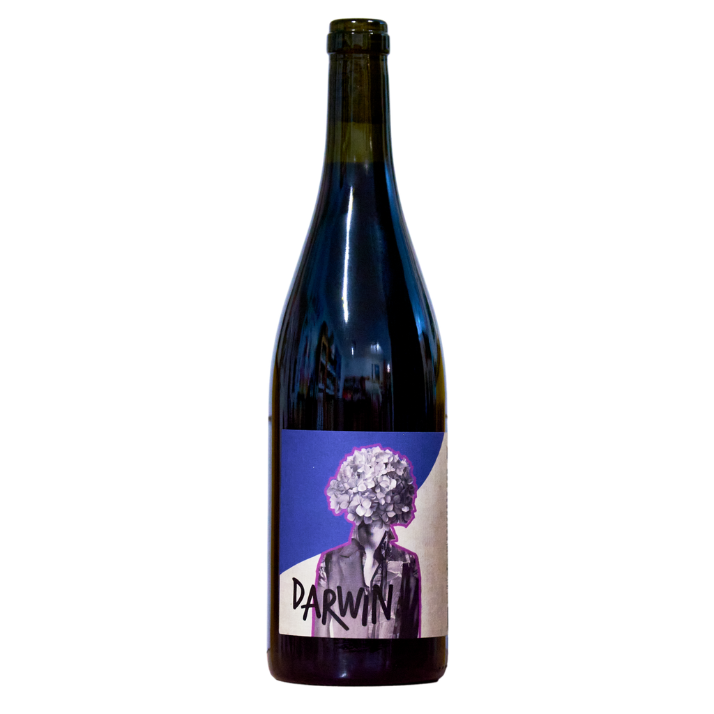 darwin-vidoc-wine-impact