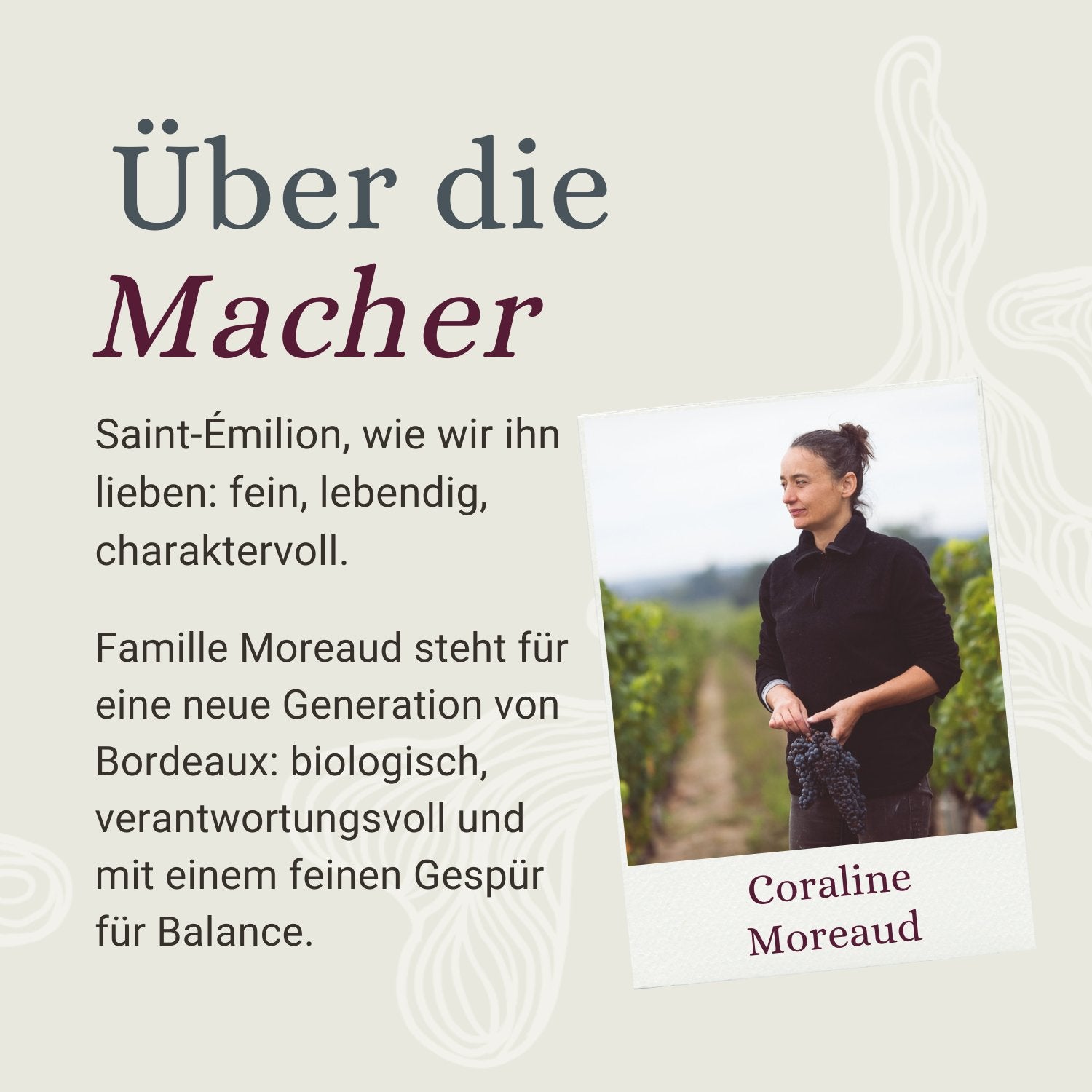 Château Magnan-Figeac - Saint-Emilion Grand Cru 2016