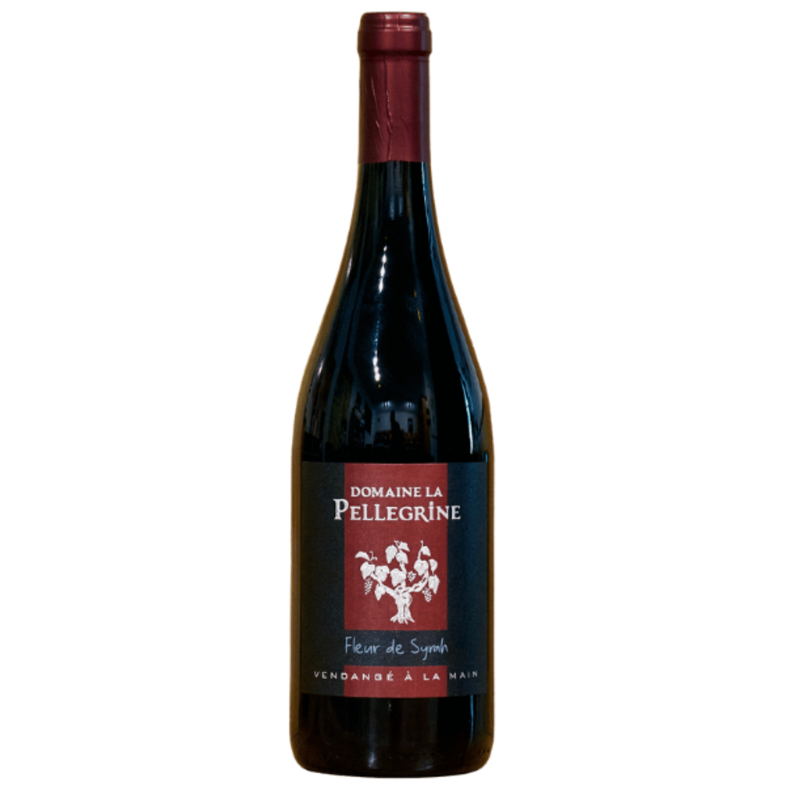 Fleur de Syrah, Vin de France Rouge 2022, Flasche