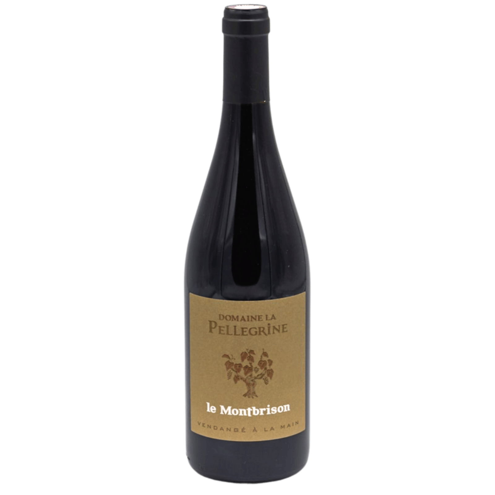 Le Montbrison, Côtes-du-Rhône Rouge 2021, Flasche