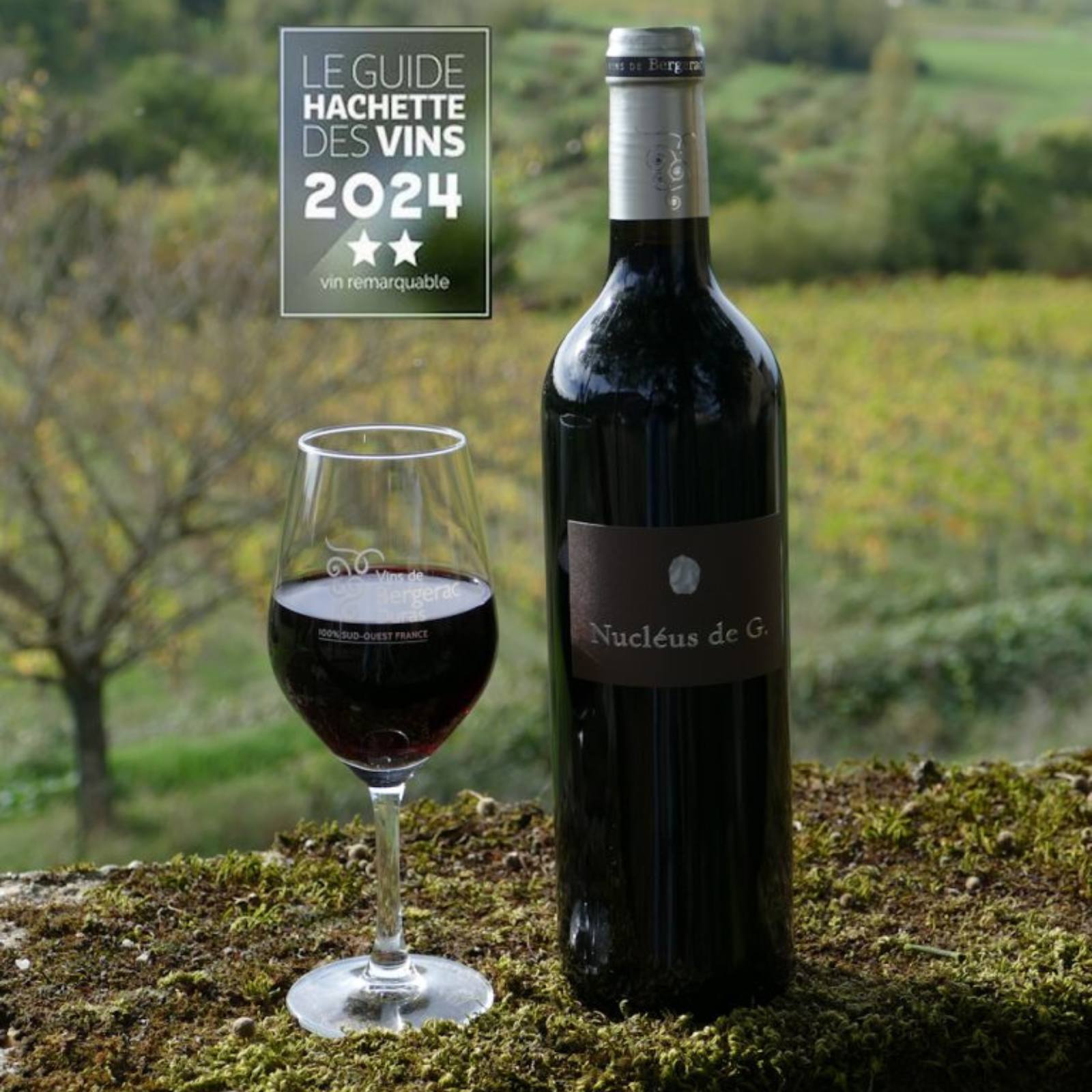 Nucléus, Bergerac Rouge 2022, serviert, Szene