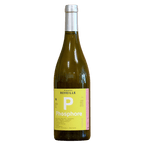 Phosphore, Côtes Catalanes Blanc, 2023 Bio, Flasche