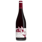 Pinot Noir, Côtes de Toul 2022, Flasche
