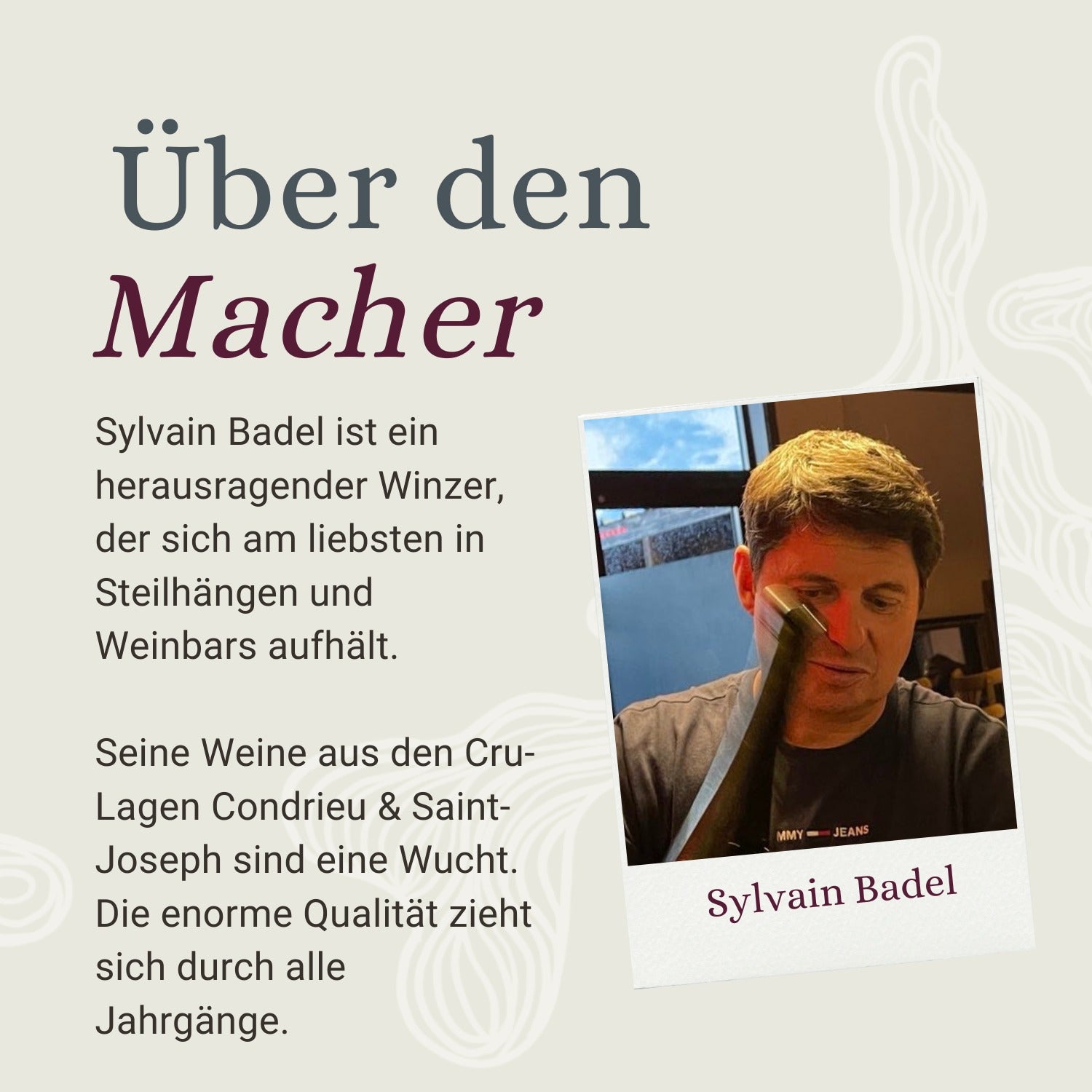 Sylvain Badel, Winzer an der nördlichen Rhône