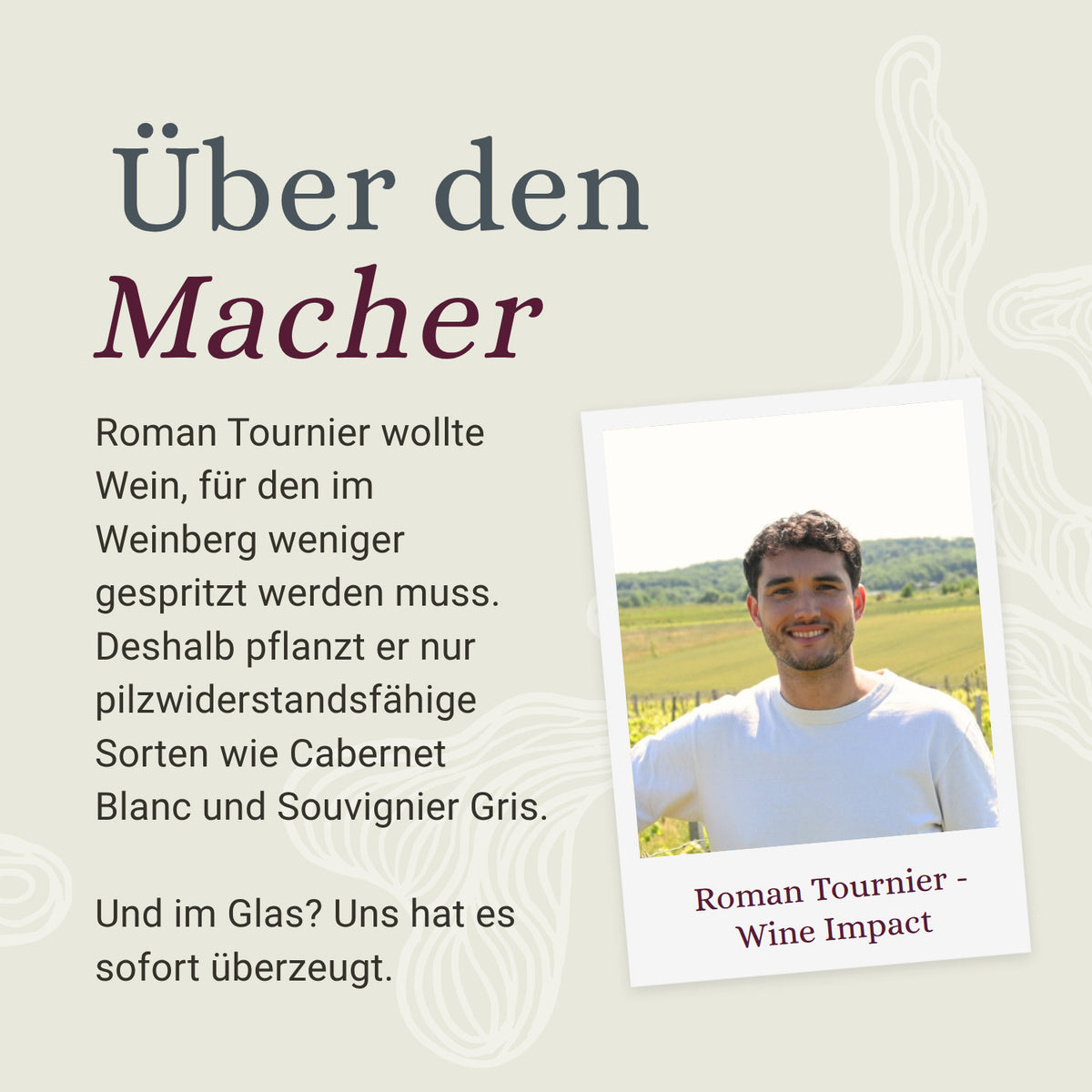 Roman Tournier von Wine Impact im Weinberg, Infotafel Über den Macher