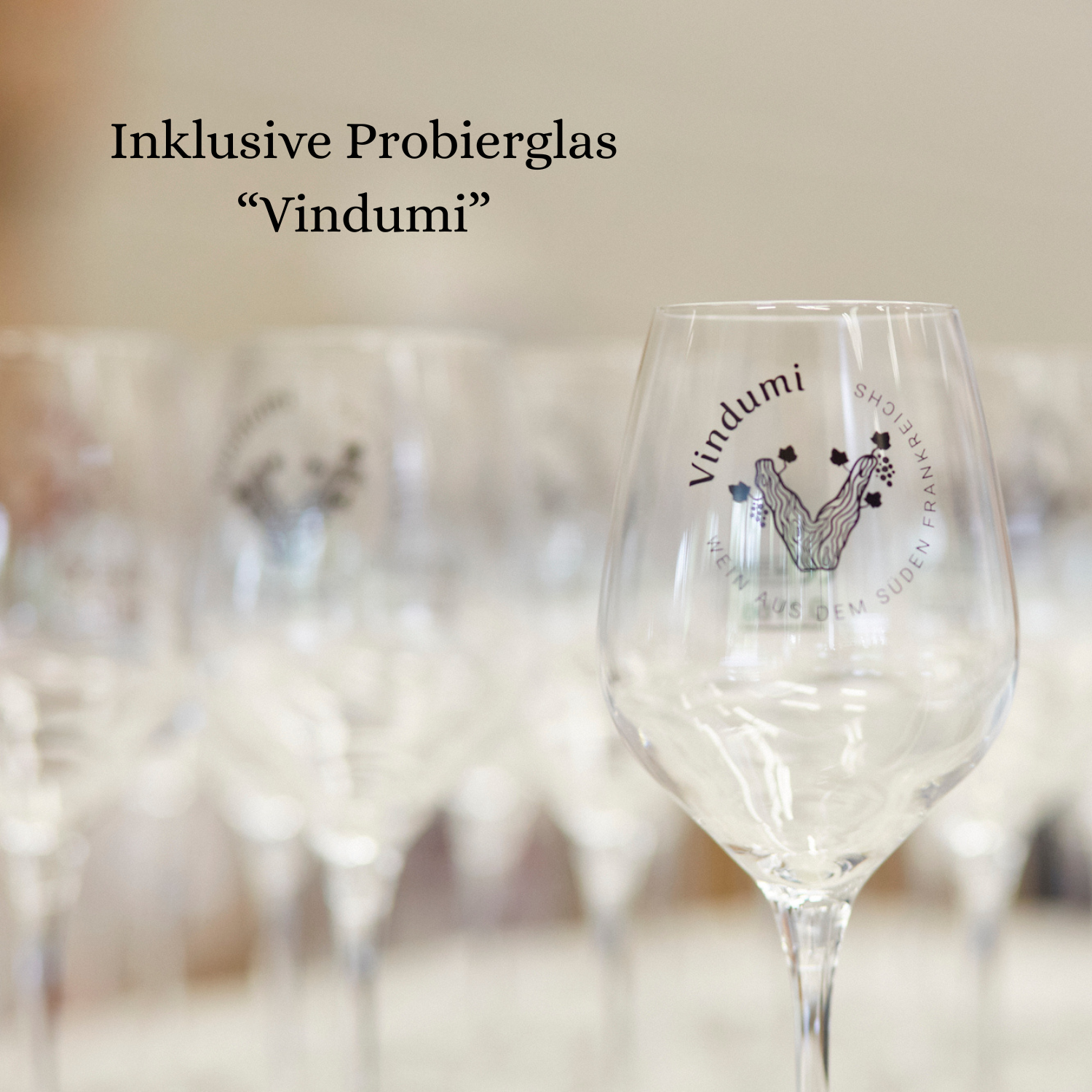 Ticket Weinmesse 2026