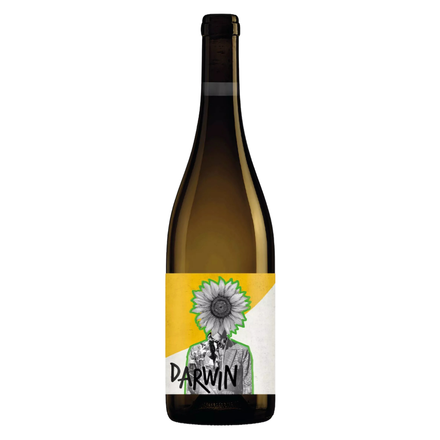 Darwin Cabernet Blanc, Flasche
