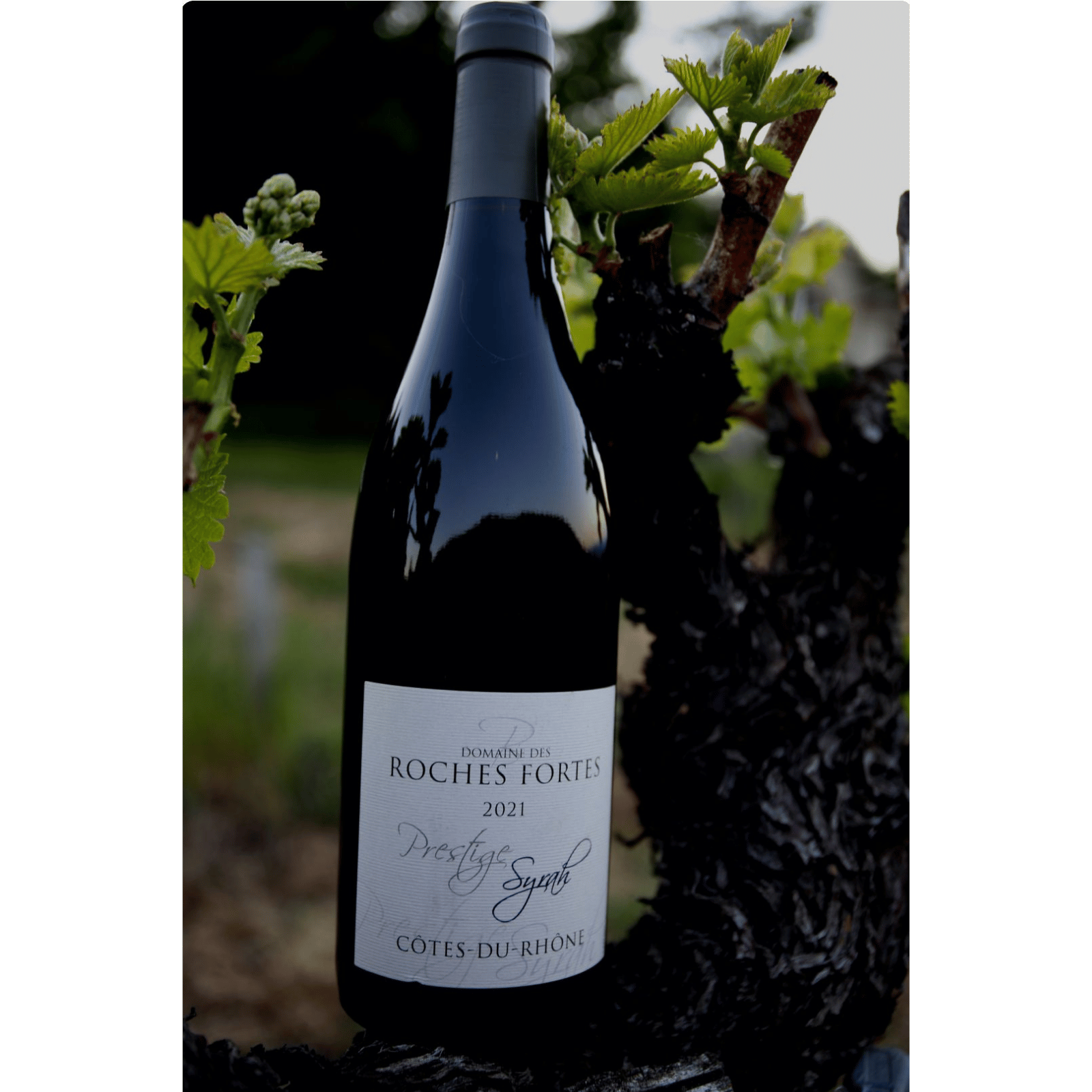 Prestige Syrah - Côtes-du-Rhône Rouge 2022