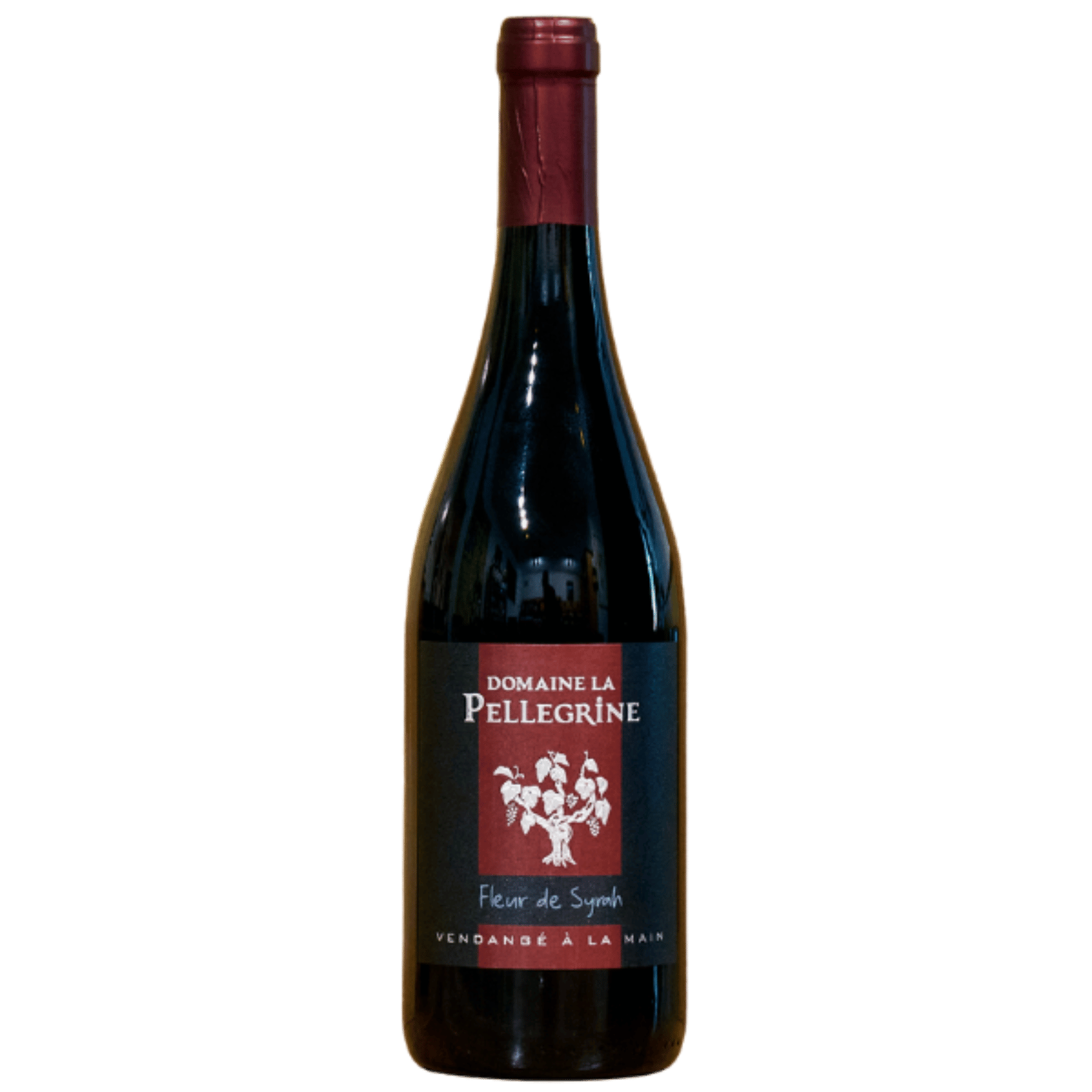 fleur-de-syrah-domaine-la-pellegrine