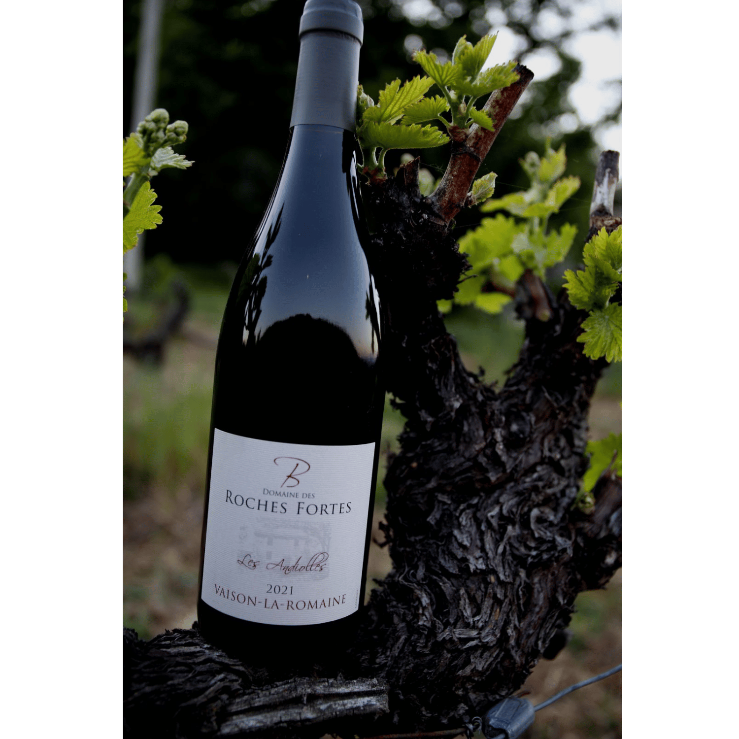 Les Andiolles - Côtes-du-Rhône Villages Vaison-la-Romaine 2020