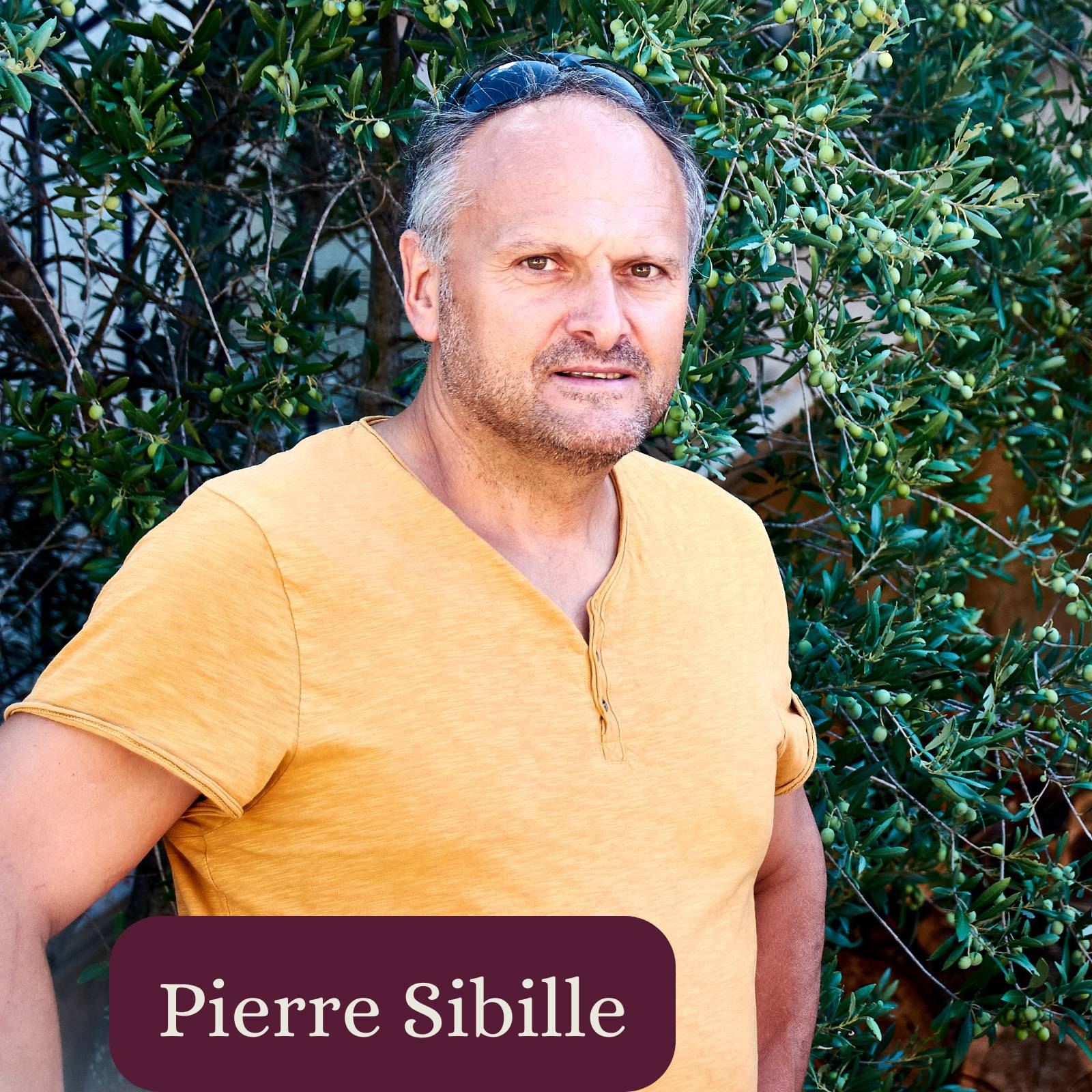 pierre-sibille