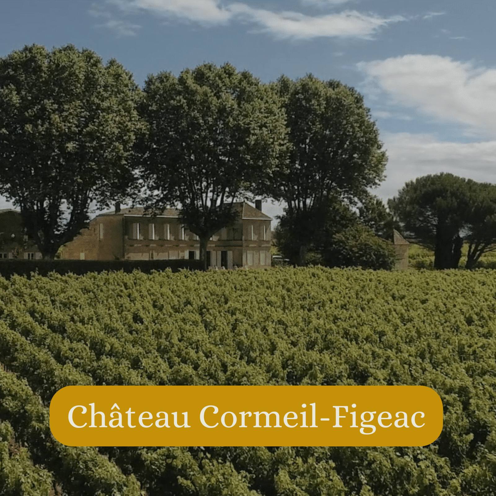 "Château Magnan-Figeac" - Saint-Emilion Grand Cru 2016