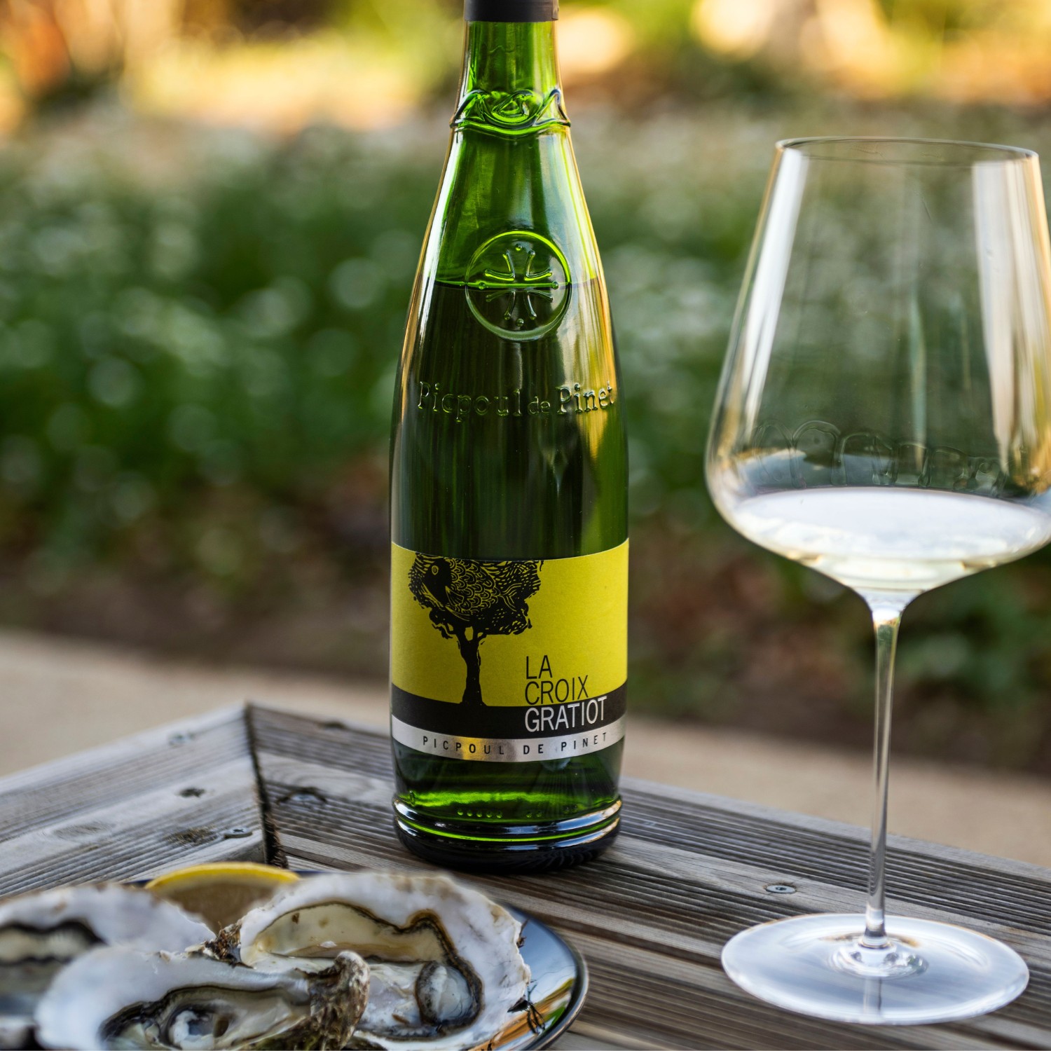 Le Syndical - Picpoul de Pinet 2024 Bio